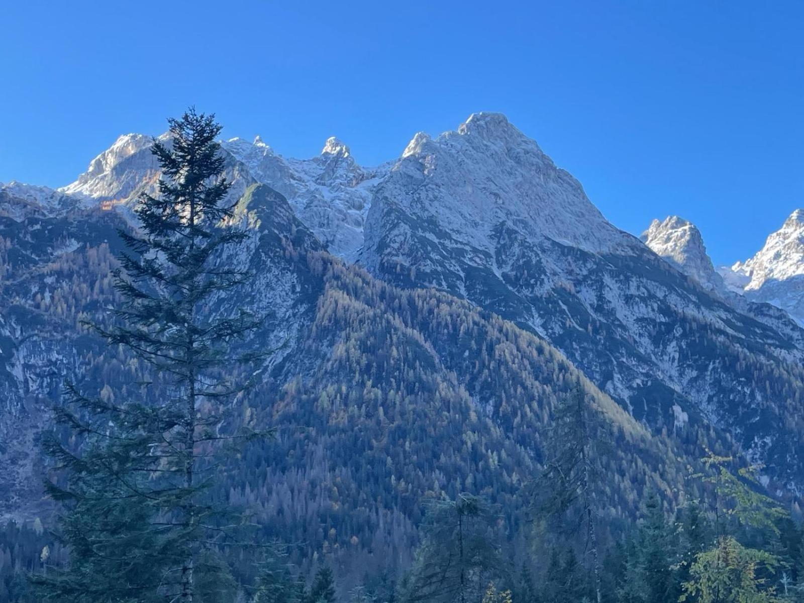 Al Mughetto Hotell Auronzo di Cadore Exteriör bild